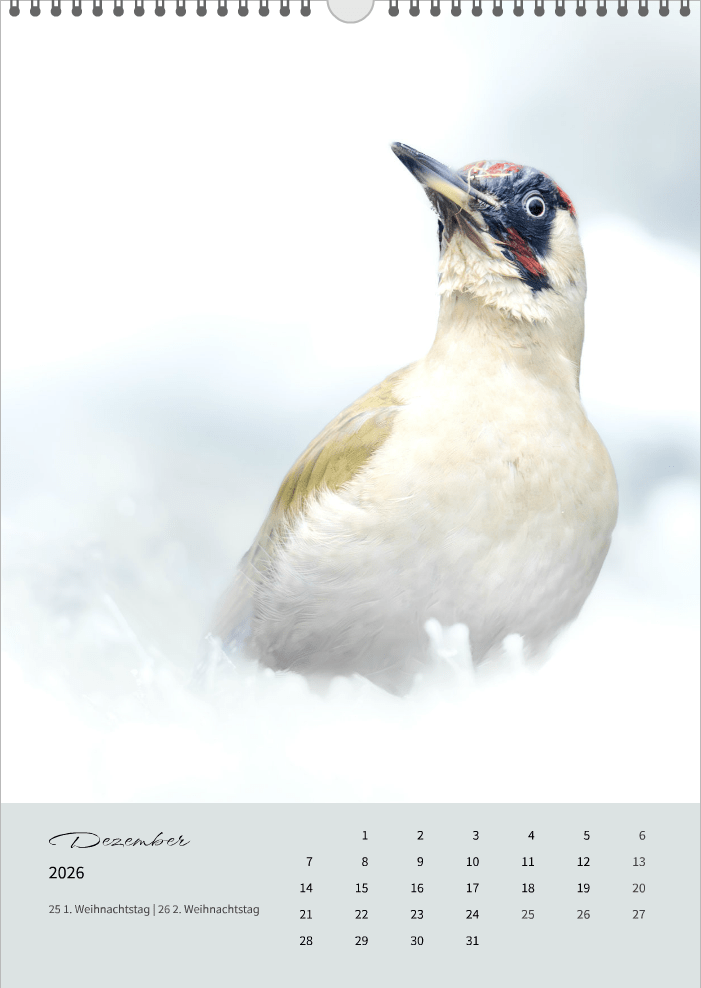 Fotokalender "Wildlife" 2026 - Mein Shop -