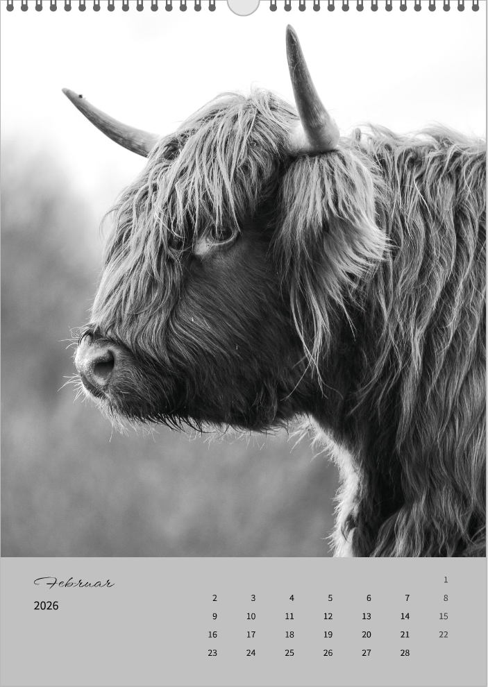 Fotokalender "Wildlife" 2026 - Mein Shop -