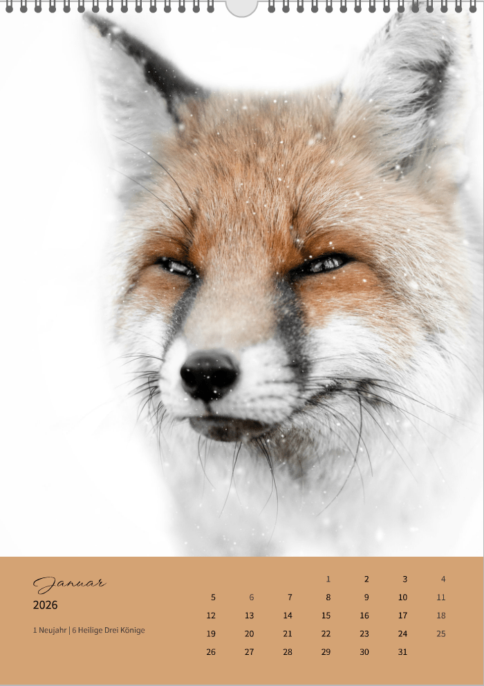 Fotokalender "Wildlife" 2026 - Mein Shop -