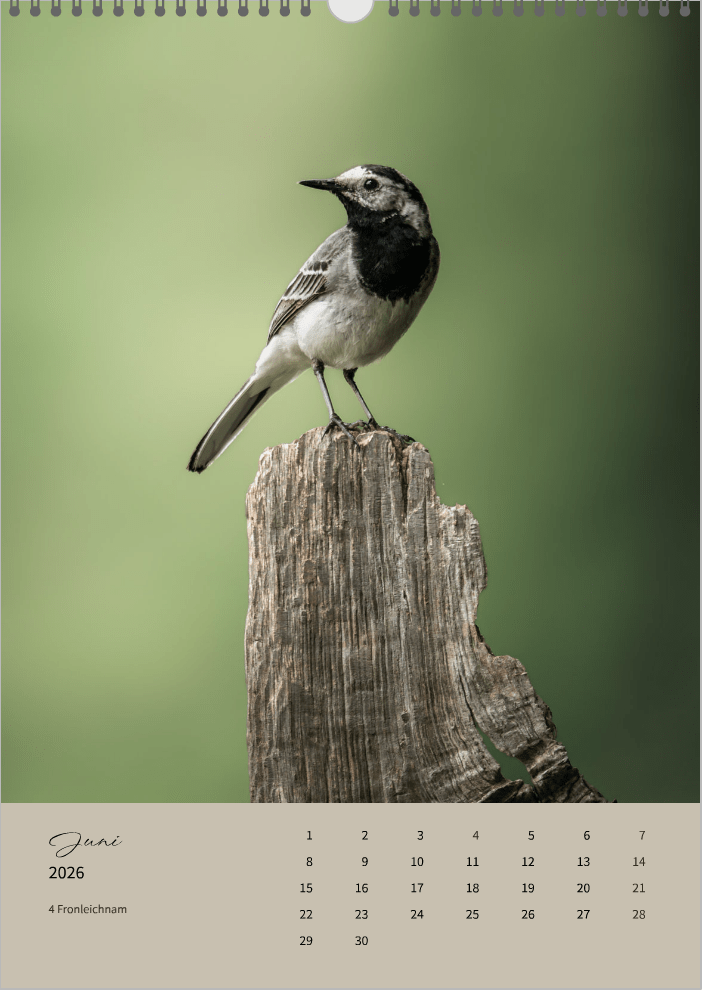Fotokalender "Wildlife" 2026 - Mein Shop -