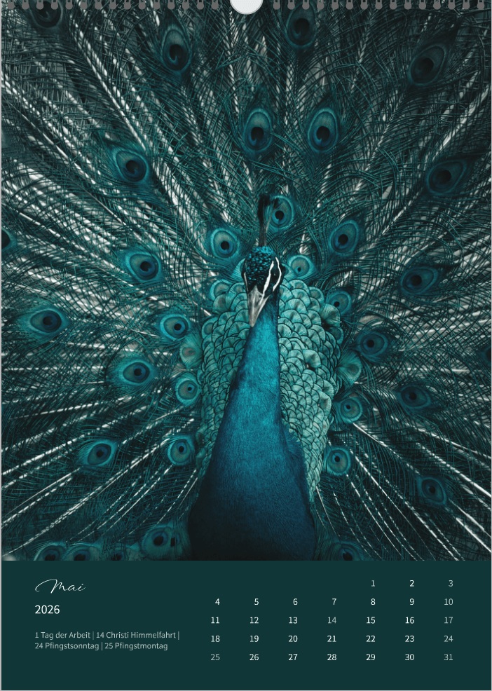 Fotokalender "Wildlife" 2026 - Mein Shop -