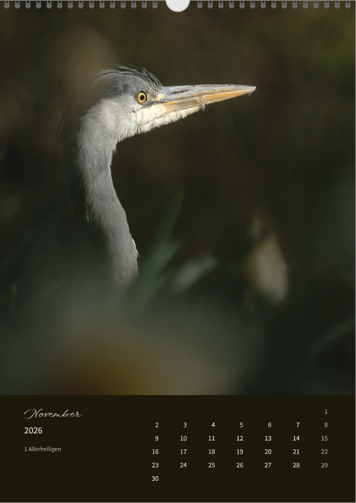 Fotokalender "Wildlife" 2026 - Mein Shop -