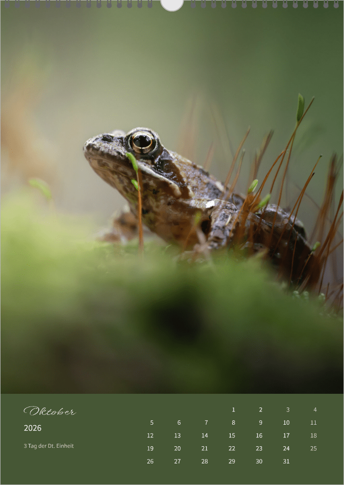 Fotokalender "Wildlife" 2026 - Mein Shop -