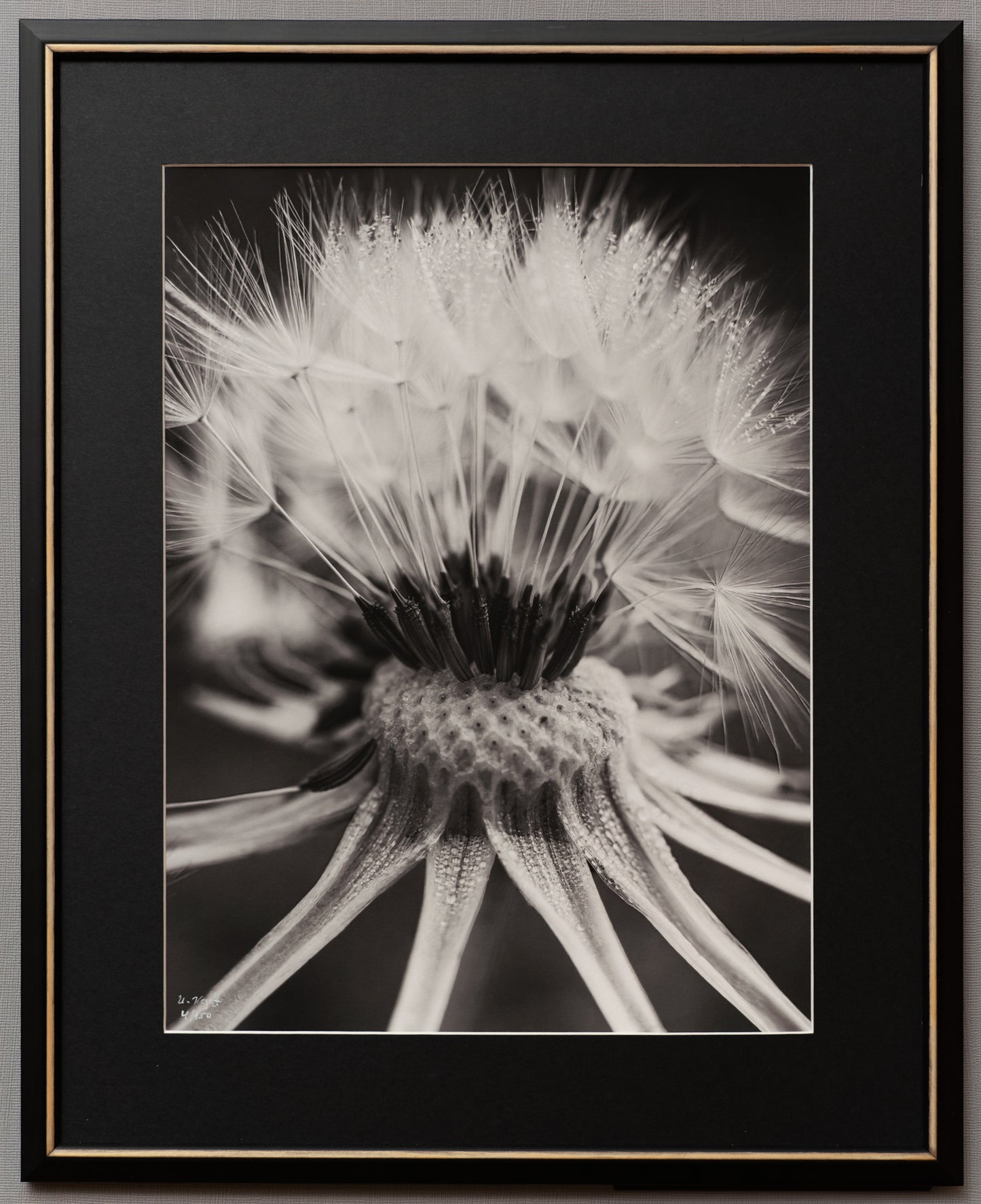gerahmter S/W FineArt Print "Flying Dreams" - Mein Shop - 