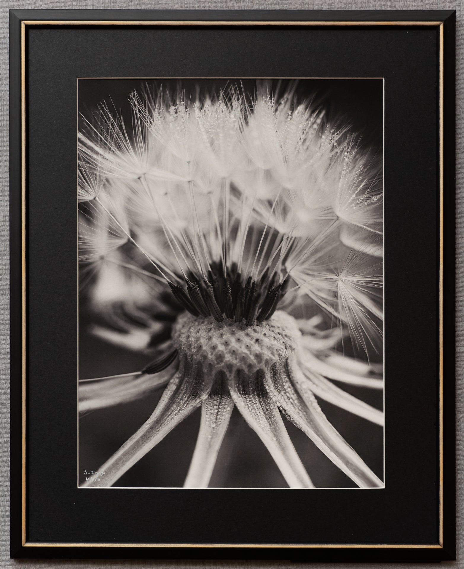 gerahmter S/W FineArt Print "Flying Dreams" - Mein Shop - 