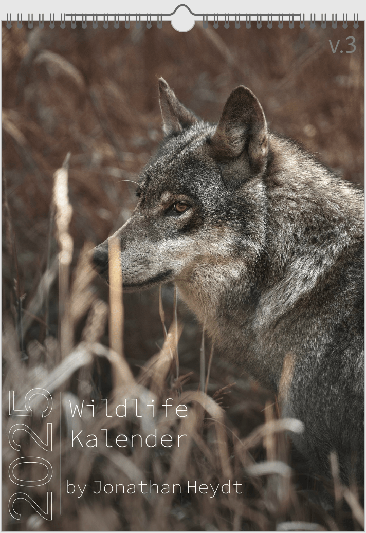 Fotokalender "Wildlfe" Alljahr - Mein Shop - 
