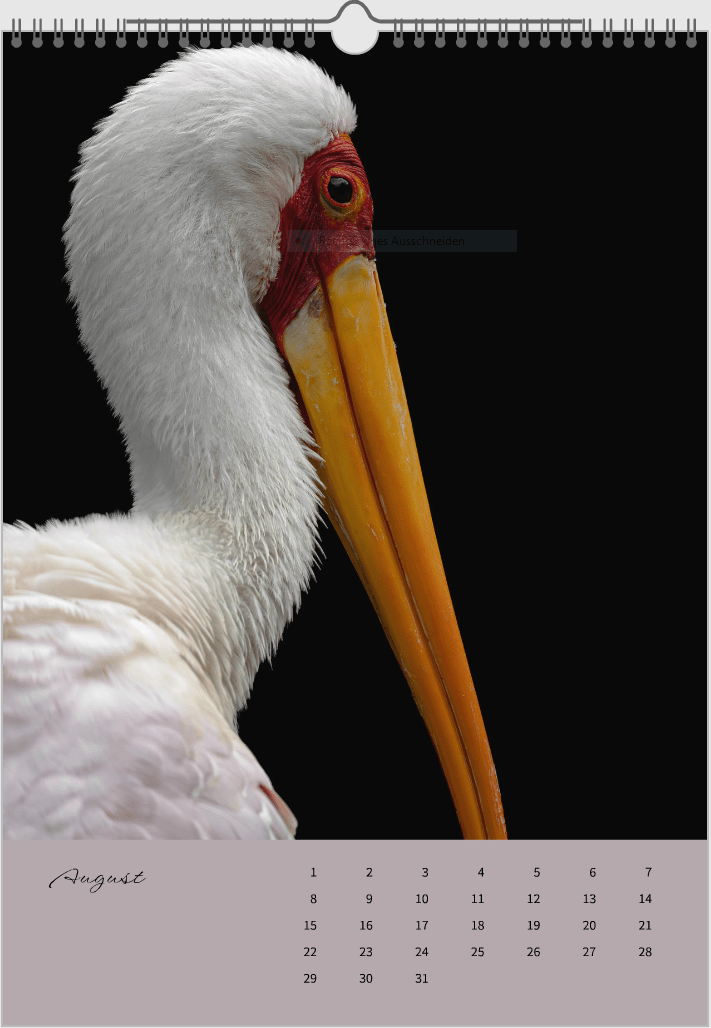 Fotokalender "Wildlfe" Alljahr - Mein Shop - 