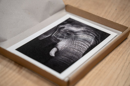 Postkarten Surprise - Box - Mein Shop - 