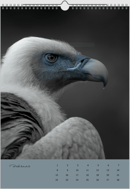Fotokalender "Wildlfe" Alljahr - Mein Shop - 