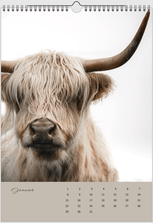 Fotokalender "Wildlfe" Alljahr - Mein Shop - 