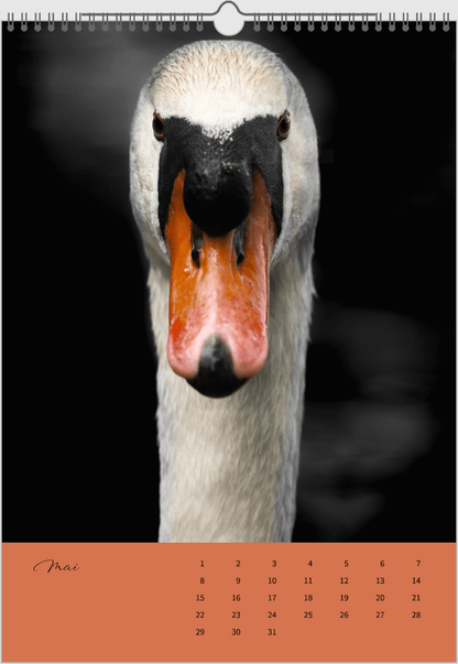Fotokalender "Wildlfe" Alljahr - Mein Shop - 