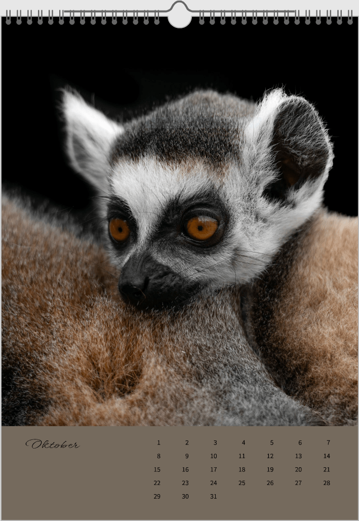 Fotokalender "Wildlfe" Alljahr - Mein Shop - 