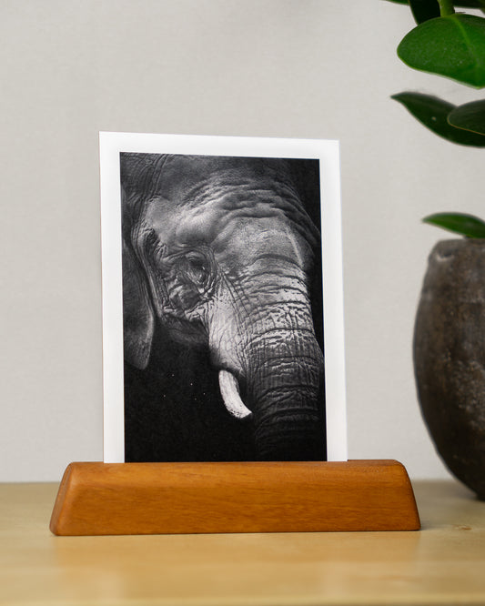 Postkarte: Elefant - Mein Shop - 
