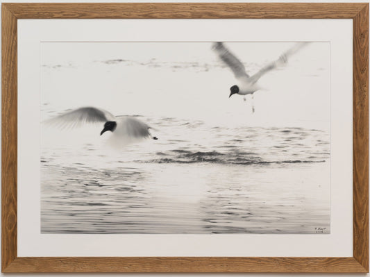 gerahmter FineArt Print "moments between" - Mein Shop - 