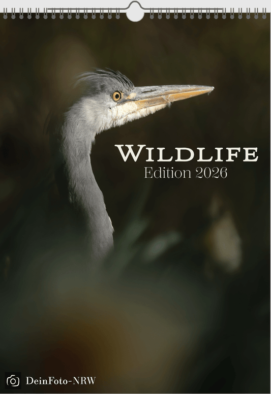 Fotokalender "Wildlife" 2026 - Mein Shop - 