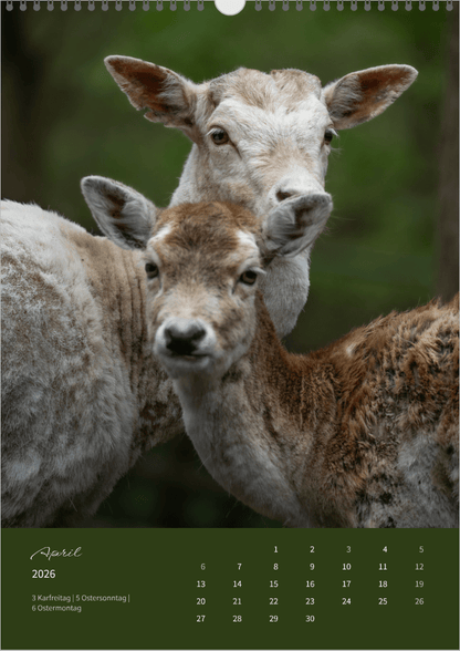 Fotokalender "Wildlife" 2026 - Mein Shop - 