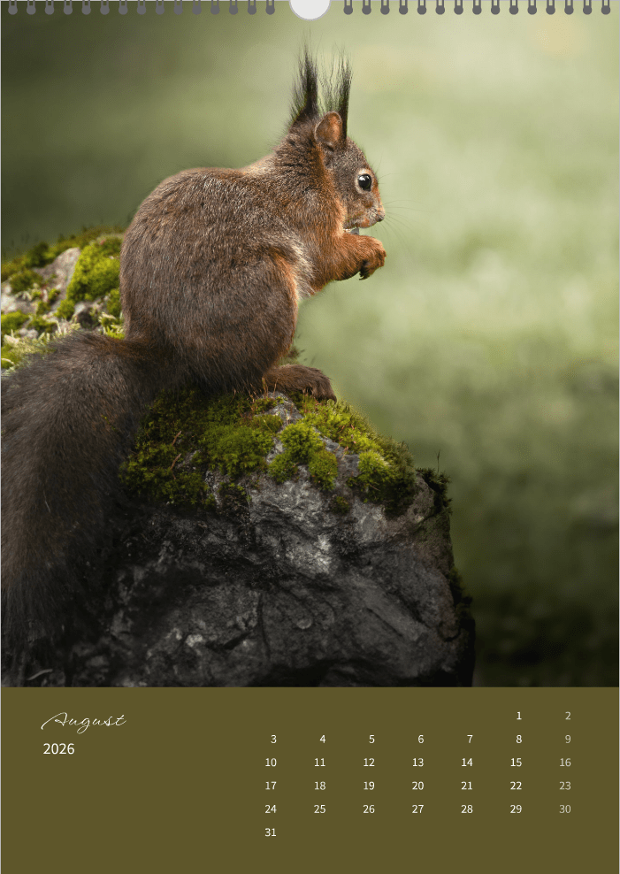 Fotokalender "Wildlife" 2026 - Mein Shop - 