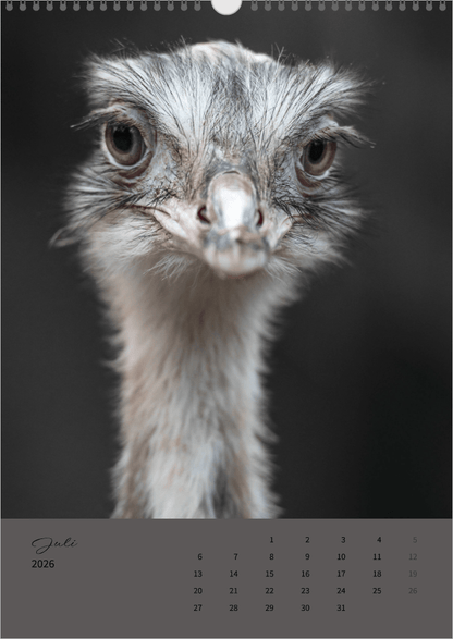 Fotokalender "Wildlife" 2026 - Mein Shop - 