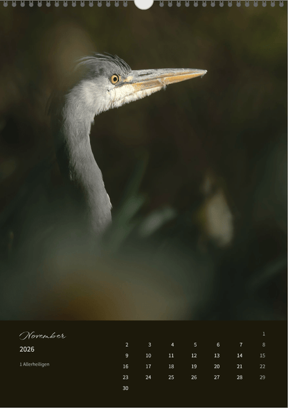 Fotokalender "Wildlife" 2026 - Mein Shop - 