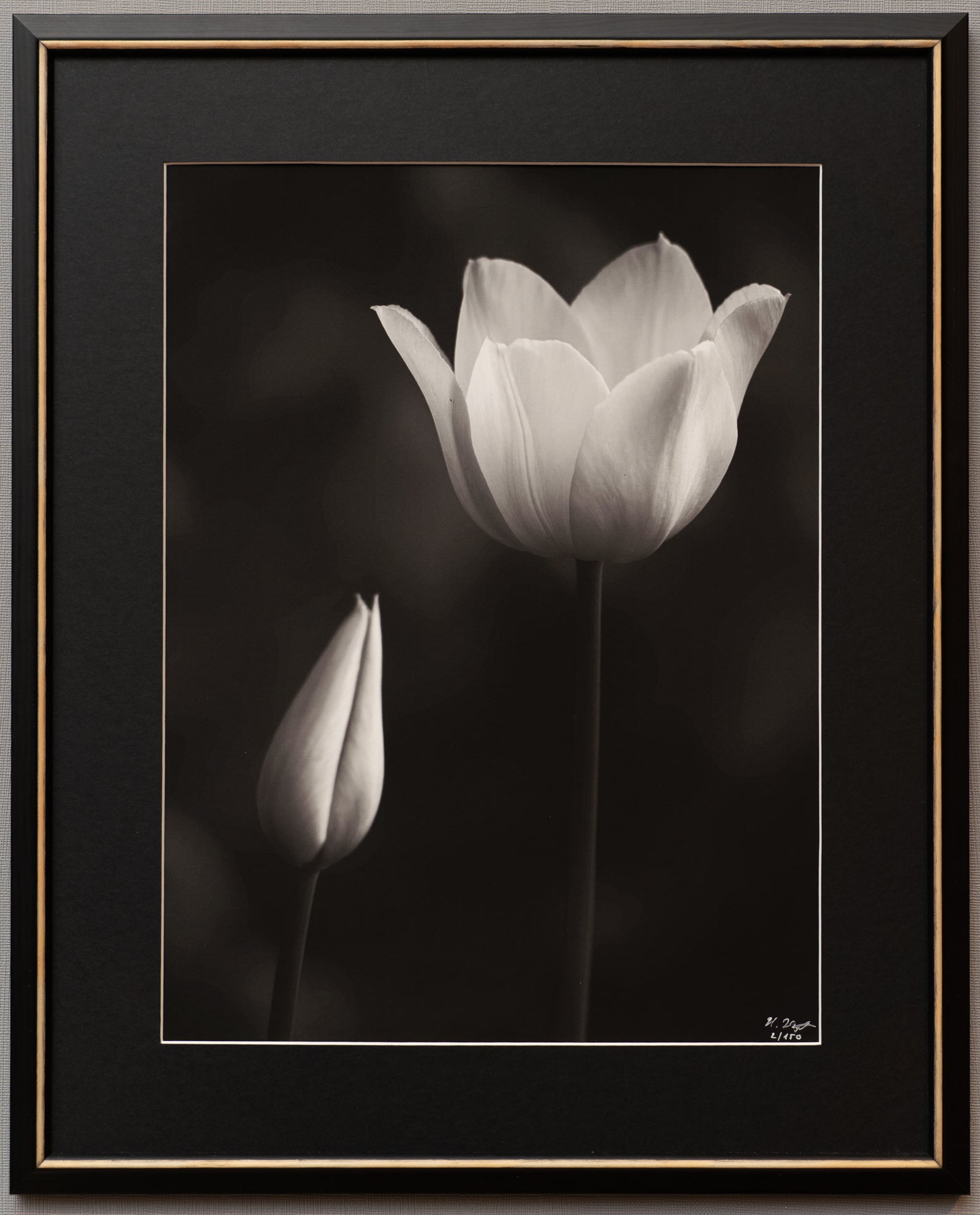 gerahmter FineArt Print "Dare to thrive" - Mein Shop - 