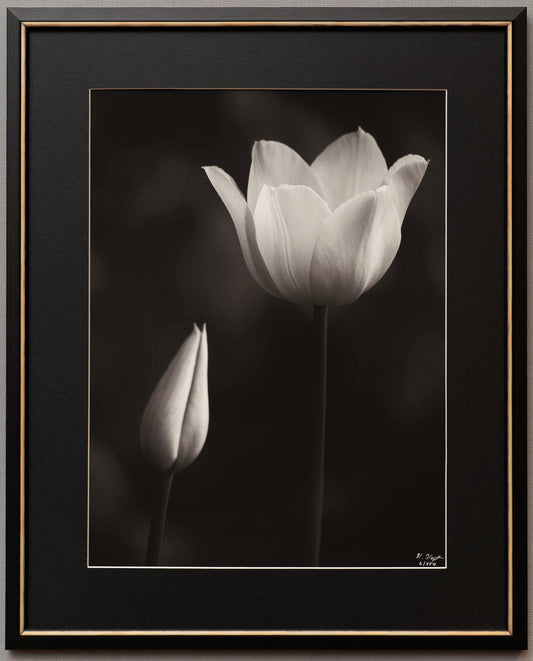 gerahmter FineArt Print "Dare to thrive" - Mein Shop - 