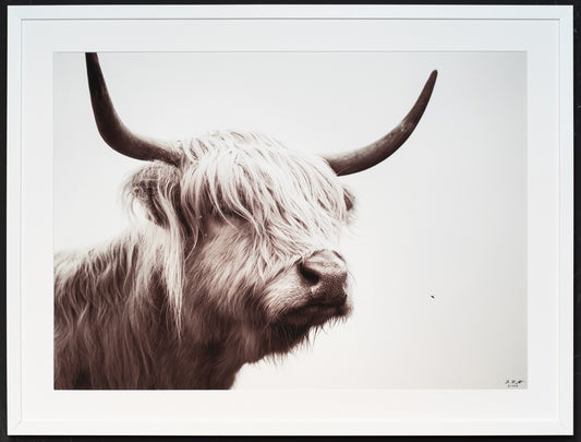 Limitierter, handsignierter Fine Art Print ‚World of Strangers‘ auf Hahnemühle Photo RAG, 70x50 cm im Holzrahmen mit Passepartout 80x60 cm